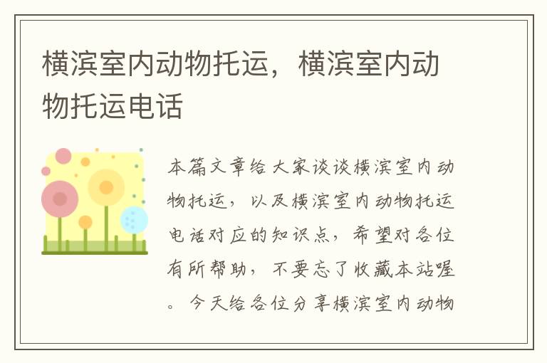 横滨室内动物托运,横滨室内动物托运电话