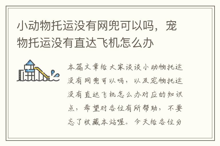 小动物托运没有网兜可以吗,宠物托运没有直达飞机怎么办