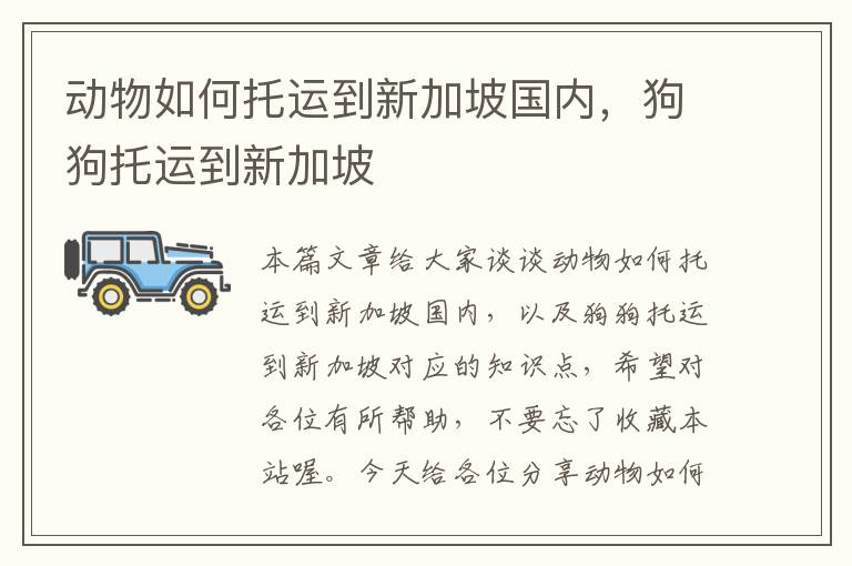 动物如何托运到新加坡国内,狗狗托运到新加坡