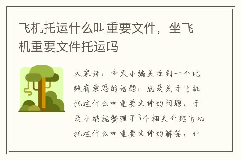 飞机托运什么叫重要文件,坐飞机重要文件托运吗