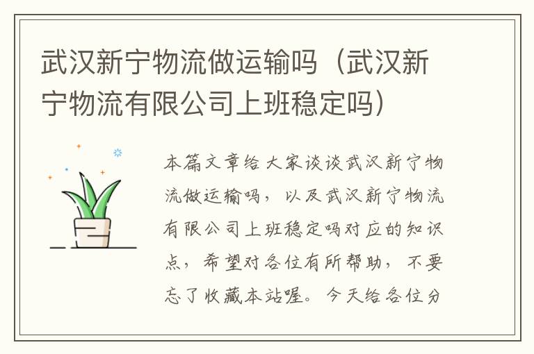 武汉新宁物流做运输吗(武汉新宁物流有限公司上班稳定吗)