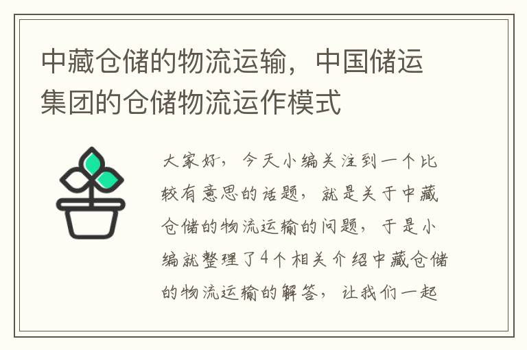 中藏仓储的物流运输，中国储运集团的仓储物流运作模式