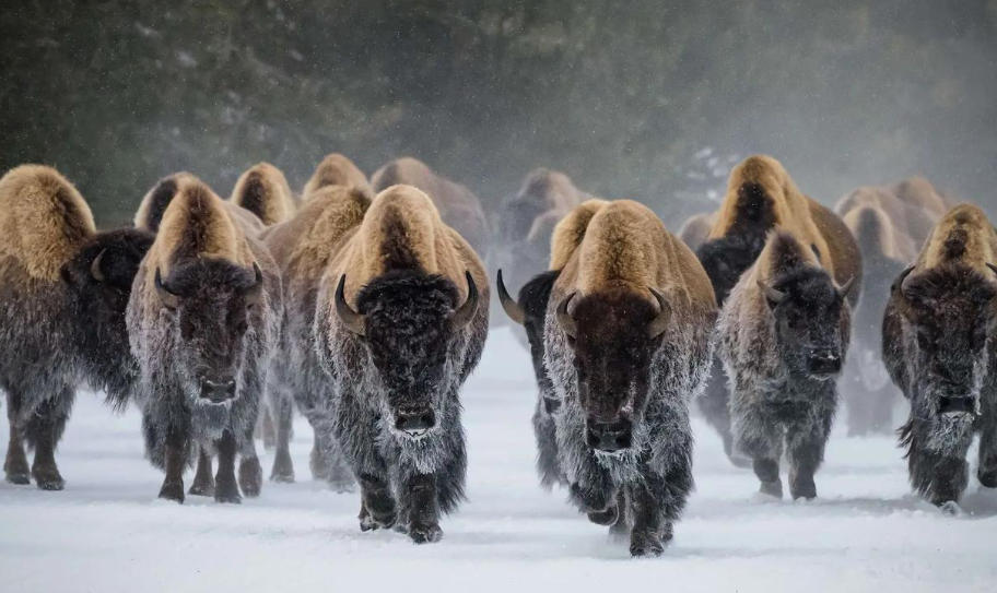 广州轿车托运畅腾物流公司轮播图4